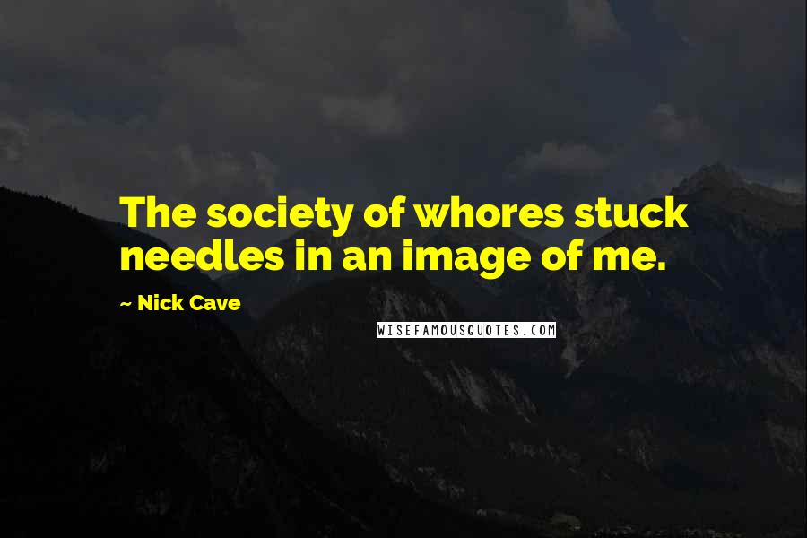 Nick Cave Quotes: The society of whores stuck needles in an image of me.