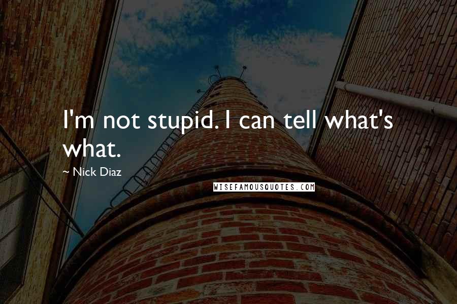 Nick Diaz Quotes: I'm not stupid. I can tell what's what.