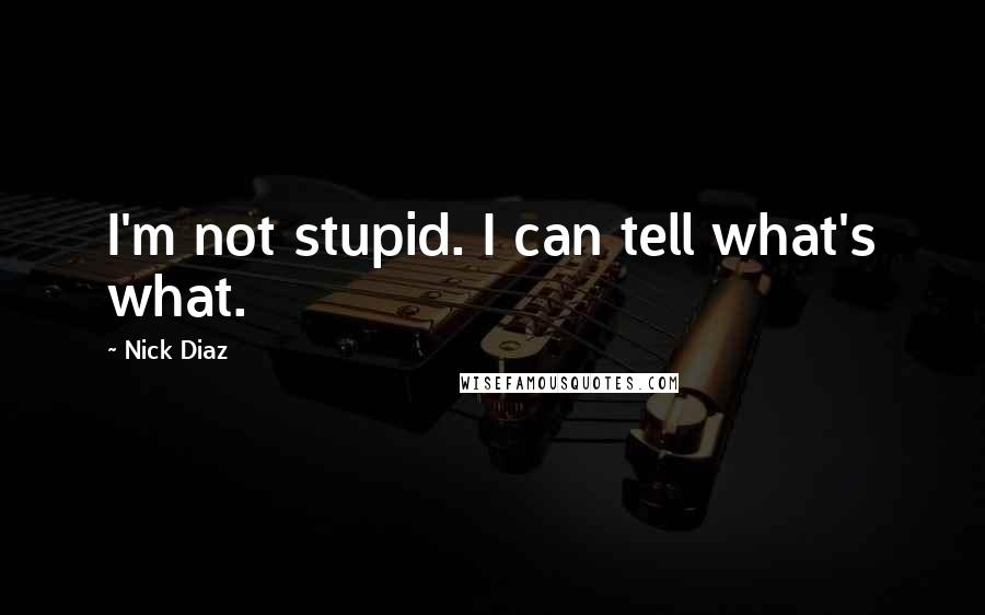 Nick Diaz Quotes: I'm not stupid. I can tell what's what.