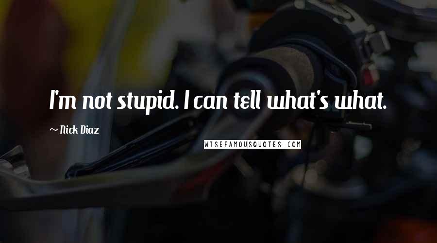 Nick Diaz Quotes: I'm not stupid. I can tell what's what.