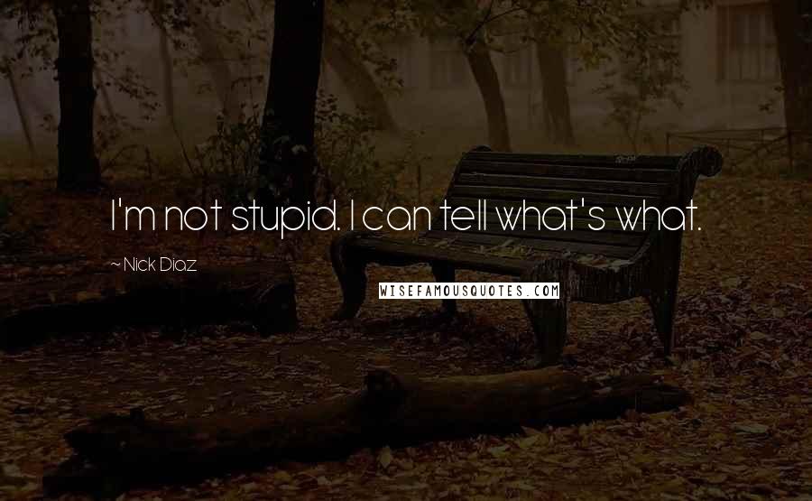 Nick Diaz Quotes: I'm not stupid. I can tell what's what.