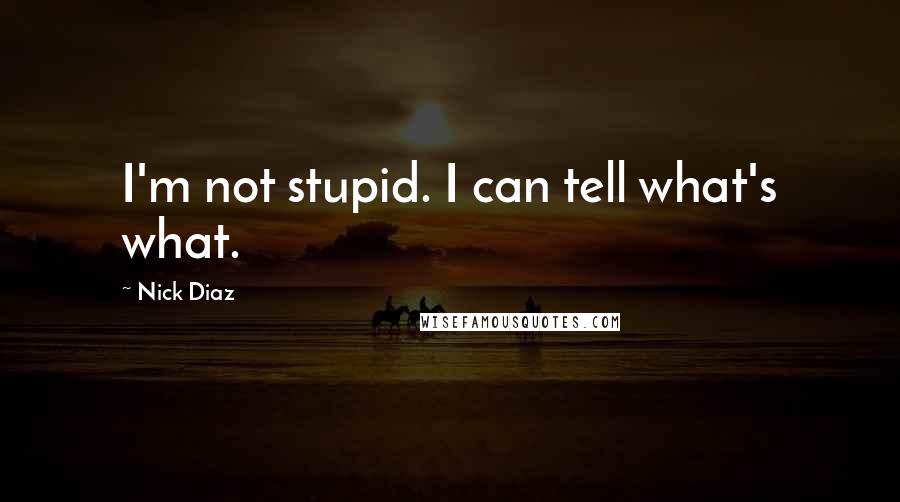 Nick Diaz Quotes: I'm not stupid. I can tell what's what.