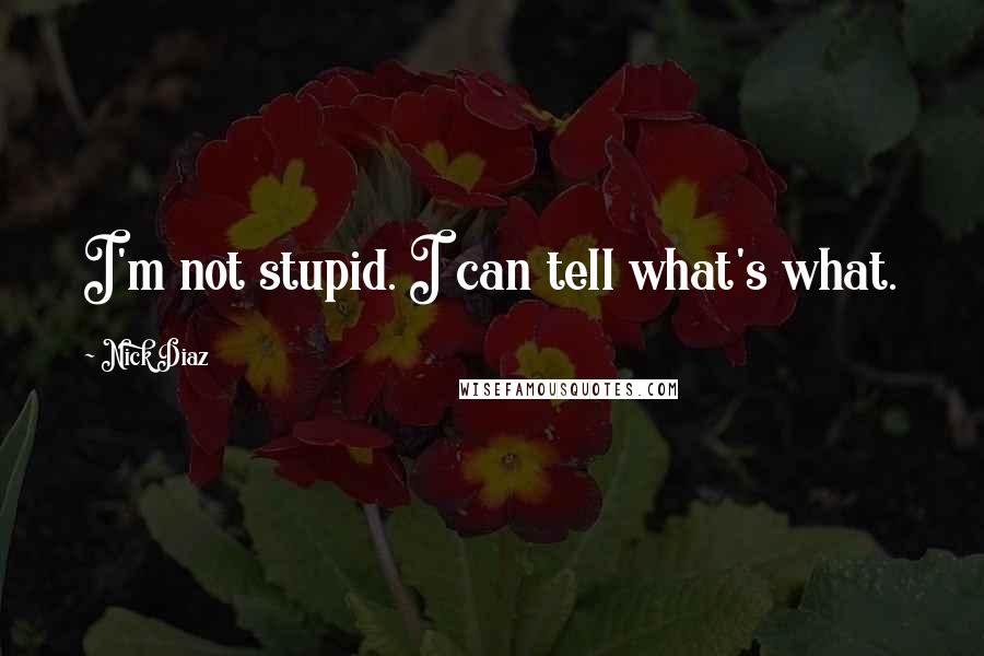 Nick Diaz Quotes: I'm not stupid. I can tell what's what.