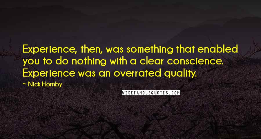 Nick Hornby Quotes: Experience, then, was something that enabled you to do nothing with a clear conscience. Experience was an overrated quality.