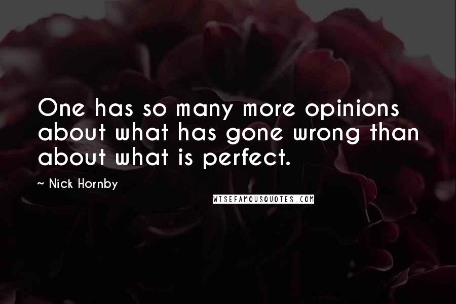 Nick Hornby Quotes: One has so many more opinions about what has gone wrong than about what is perfect.