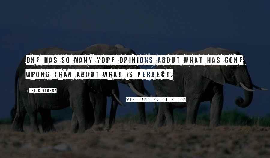 Nick Hornby Quotes: One has so many more opinions about what has gone wrong than about what is perfect.