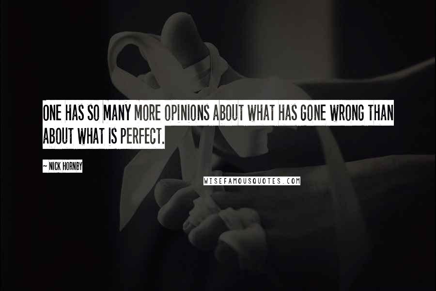 Nick Hornby Quotes: One has so many more opinions about what has gone wrong than about what is perfect.