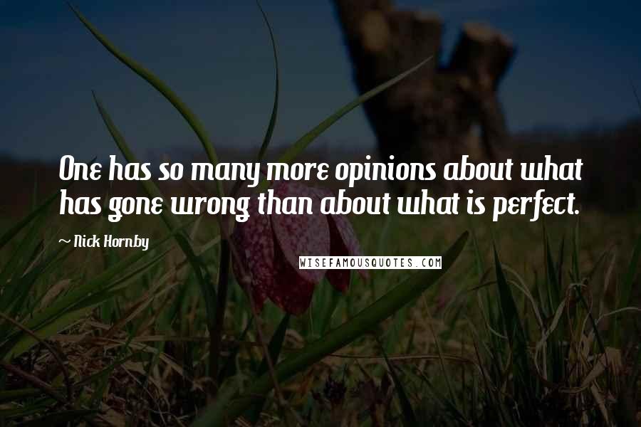 Nick Hornby Quotes: One has so many more opinions about what has gone wrong than about what is perfect.