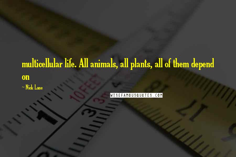 Nick Lane Quotes: multicellular life. All animals, all plants, all of them depend on