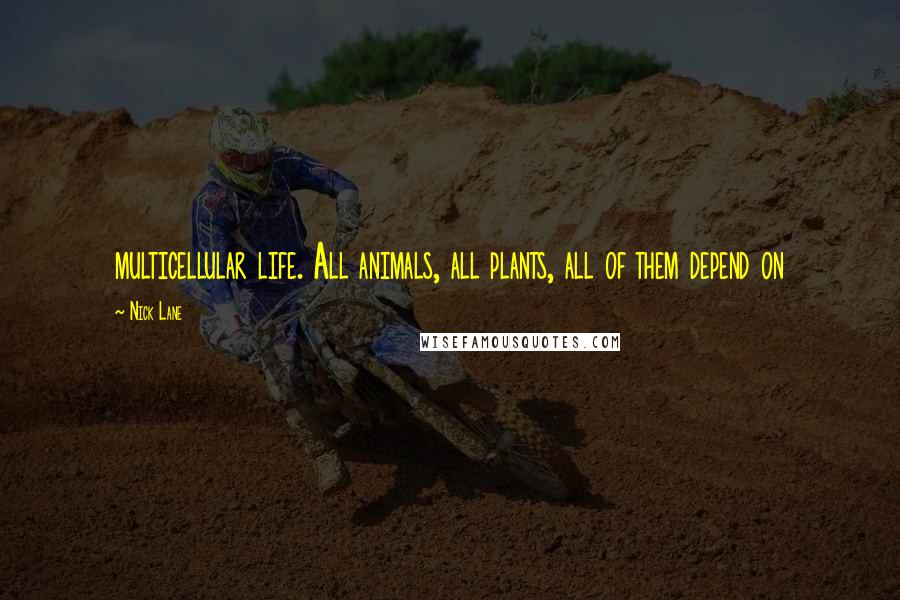 Nick Lane Quotes: multicellular life. All animals, all plants, all of them depend on