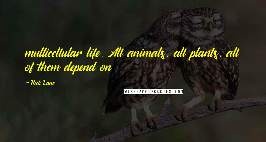 Nick Lane Quotes: multicellular life. All animals, all plants, all of them depend on
