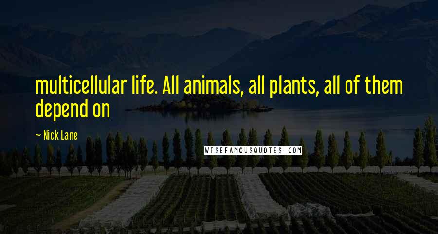 Nick Lane Quotes: multicellular life. All animals, all plants, all of them depend on