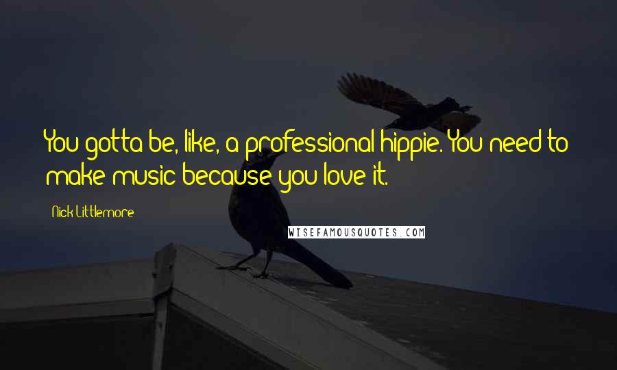 Nick Littlemore Quotes: You gotta be, like, a professional hippie. You need to make music because you love it.