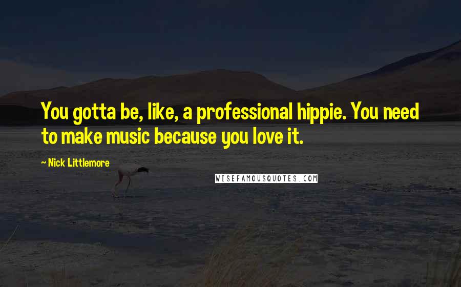 Nick Littlemore Quotes: You gotta be, like, a professional hippie. You need to make music because you love it.