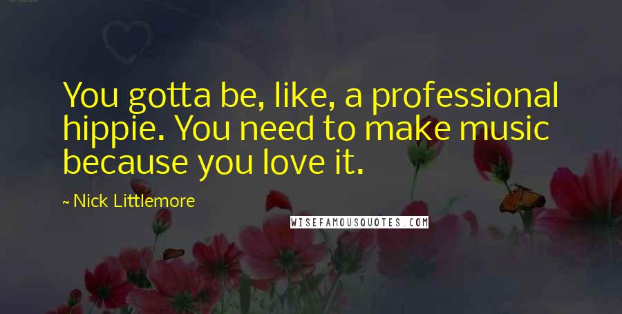 Nick Littlemore Quotes: You gotta be, like, a professional hippie. You need to make music because you love it.