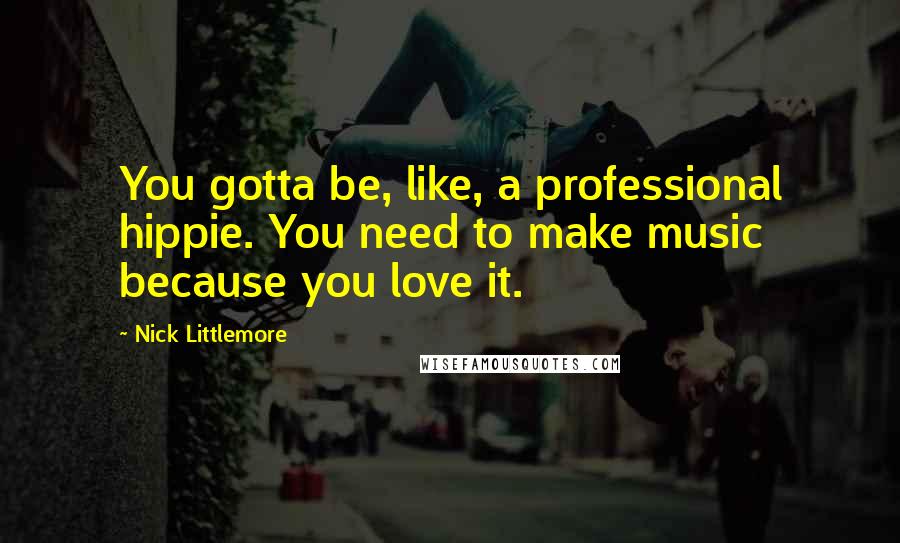 Nick Littlemore Quotes: You gotta be, like, a professional hippie. You need to make music because you love it.