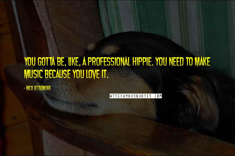 Nick Littlemore Quotes: You gotta be, like, a professional hippie. You need to make music because you love it.
