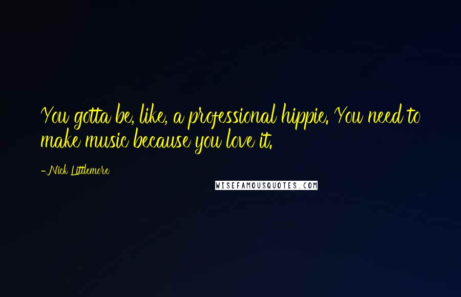 Nick Littlemore Quotes: You gotta be, like, a professional hippie. You need to make music because you love it.
