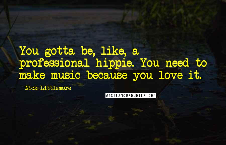 Nick Littlemore Quotes: You gotta be, like, a professional hippie. You need to make music because you love it.
