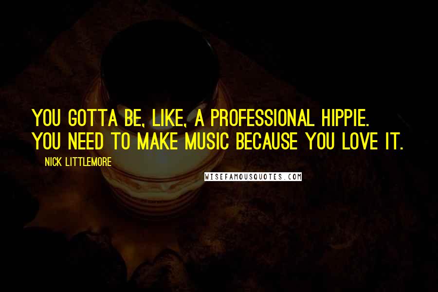 Nick Littlemore Quotes: You gotta be, like, a professional hippie. You need to make music because you love it.