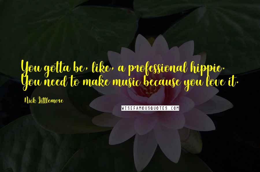 Nick Littlemore Quotes: You gotta be, like, a professional hippie. You need to make music because you love it.