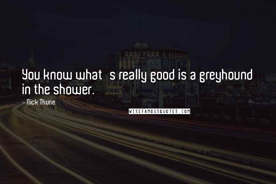 Nick Thune Quotes: You know what's really good is a greyhound in the shower.