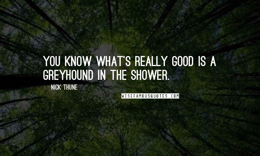Nick Thune Quotes: You know what's really good is a greyhound in the shower.