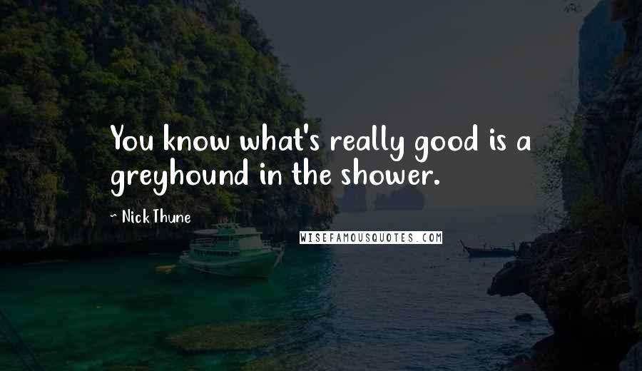 Nick Thune Quotes: You know what's really good is a greyhound in the shower.