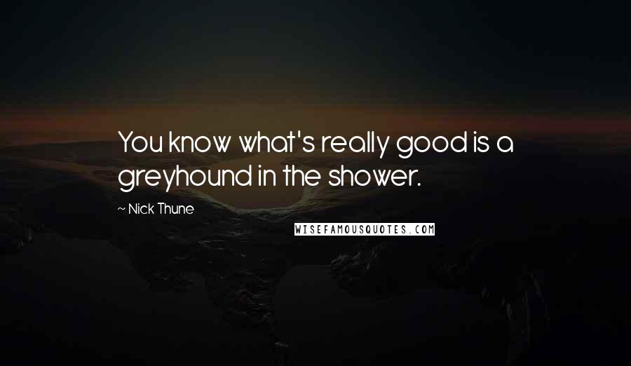 Nick Thune Quotes: You know what's really good is a greyhound in the shower.