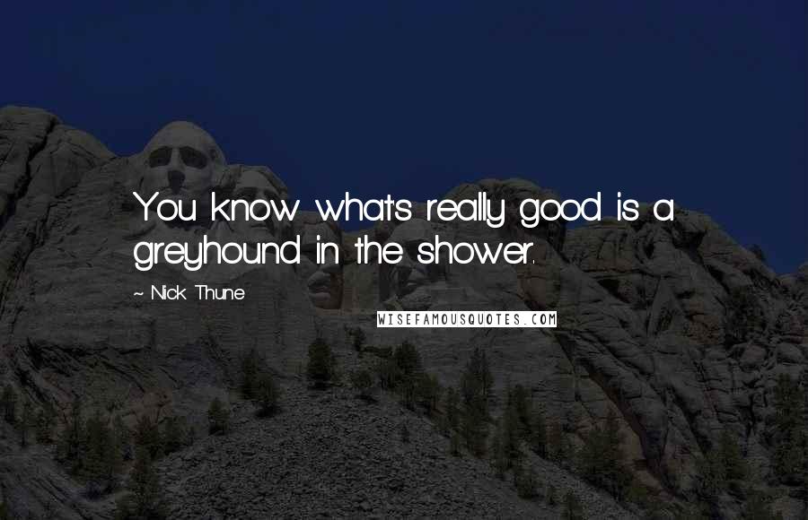 Nick Thune Quotes: You know what's really good is a greyhound in the shower.