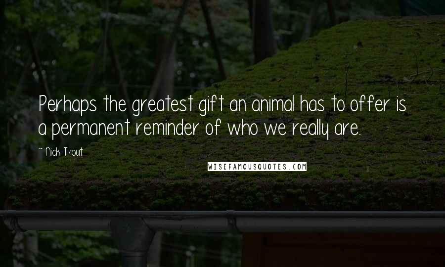 Nick Trout Quotes: Perhaps the greatest gift an animal has to offer is a permanent reminder of who we really are.