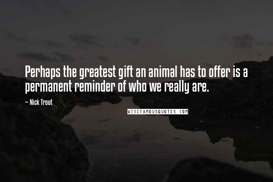 Nick Trout Quotes: Perhaps the greatest gift an animal has to offer is a permanent reminder of who we really are.