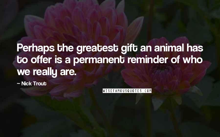 Nick Trout Quotes: Perhaps the greatest gift an animal has to offer is a permanent reminder of who we really are.