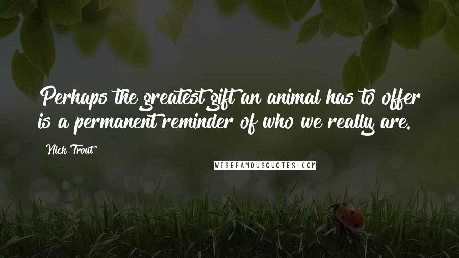 Nick Trout Quotes: Perhaps the greatest gift an animal has to offer is a permanent reminder of who we really are.