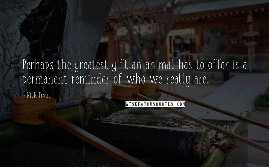 Nick Trout Quotes: Perhaps the greatest gift an animal has to offer is a permanent reminder of who we really are.