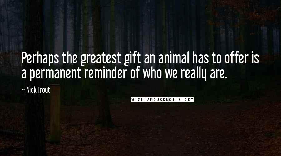 Nick Trout Quotes: Perhaps the greatest gift an animal has to offer is a permanent reminder of who we really are.