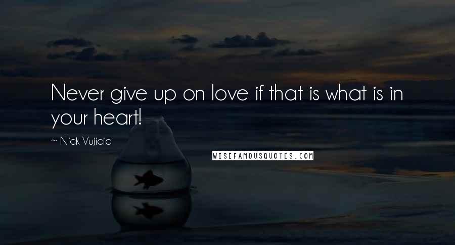 Nick Vujicic Quotes: Never give up on love if that is what is in your heart!