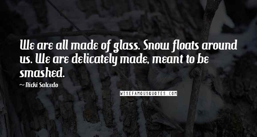 Nicki Salcedo Quotes: We are all made of glass. Snow floats around us. We are delicately made, meant to be smashed.