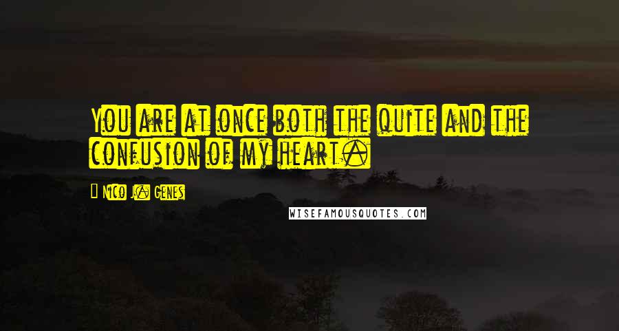 Nico J. Genes Quotes: You are at once both the quite and the confusion of my heart.