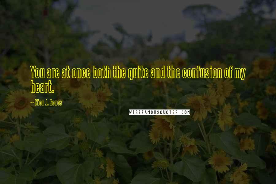 Nico J. Genes Quotes: You are at once both the quite and the confusion of my heart.