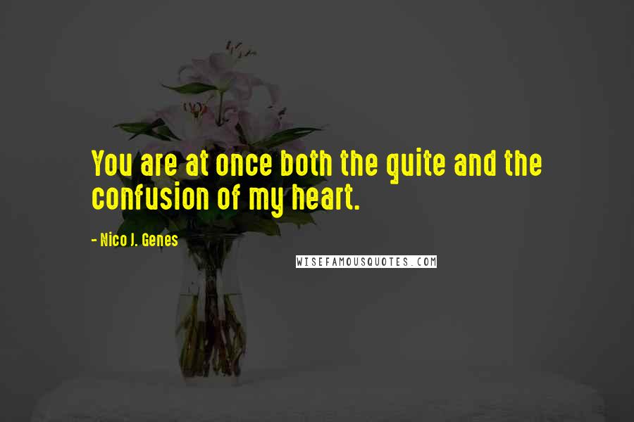 Nico J. Genes Quotes: You are at once both the quite and the confusion of my heart.