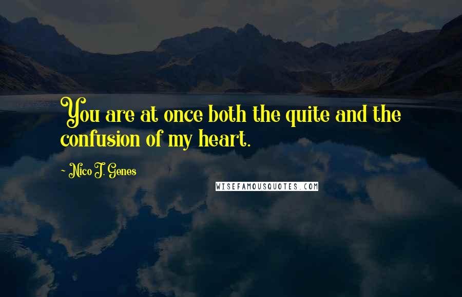 Nico J. Genes Quotes: You are at once both the quite and the confusion of my heart.