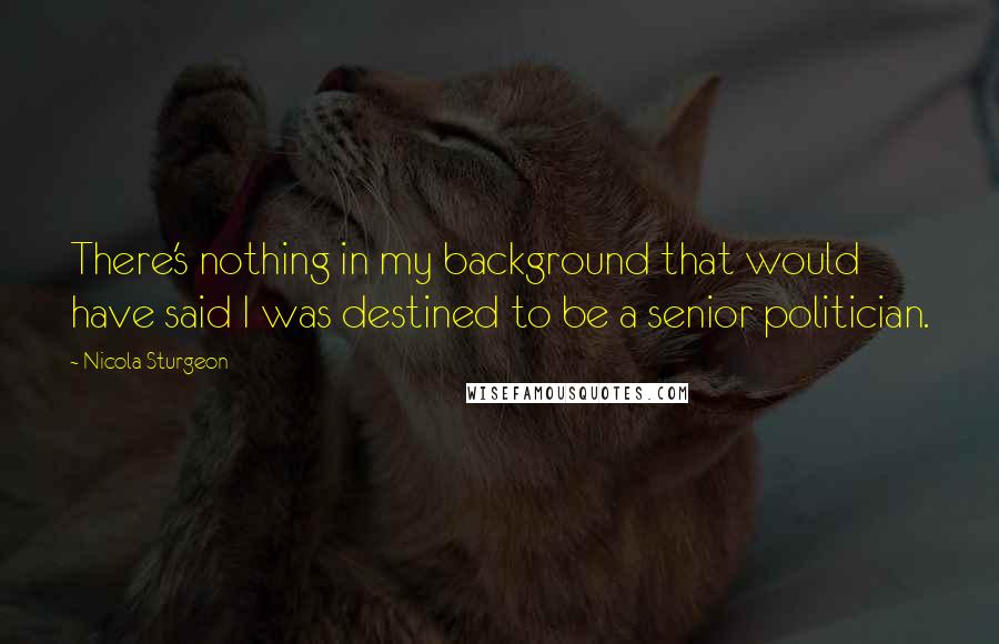 Nicola Sturgeon Quotes: There's nothing in my background that would have said I was destined to be a senior politician.