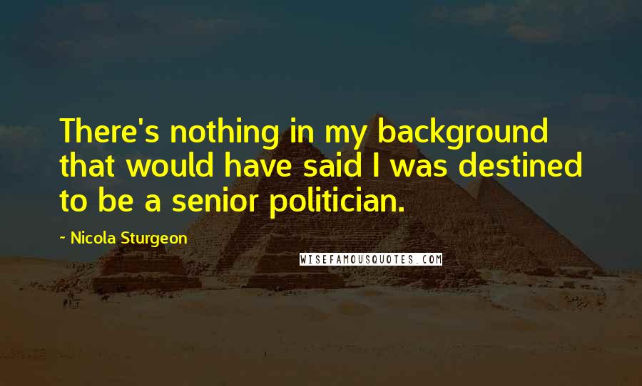 Nicola Sturgeon Quotes: There's nothing in my background that would have said I was destined to be a senior politician.