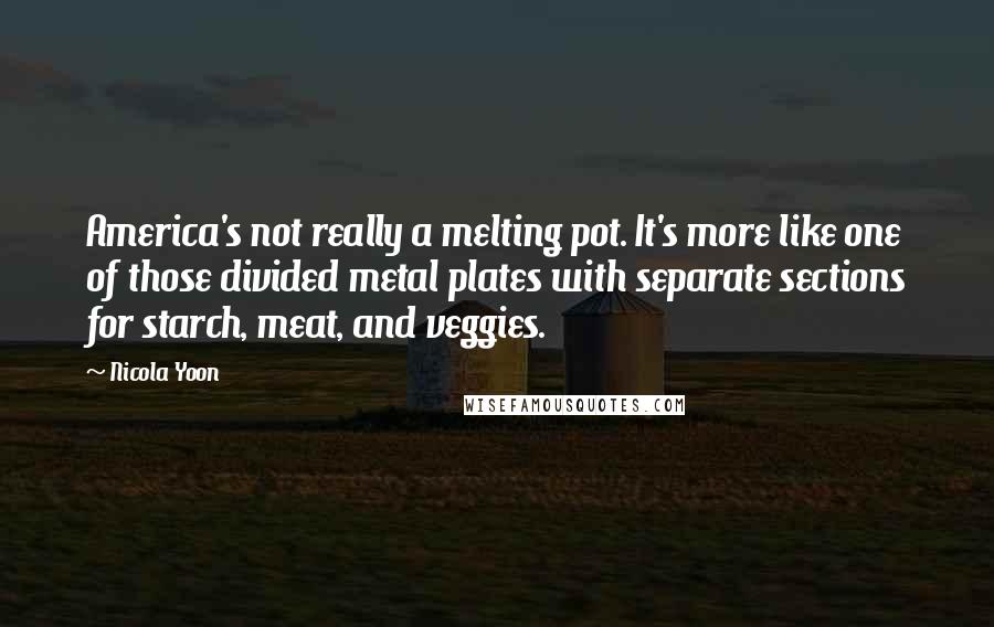 Nicola Yoon Quotes: America's not really a melting pot. It's more like one of those divided metal plates with separate sections for starch, meat, and veggies.