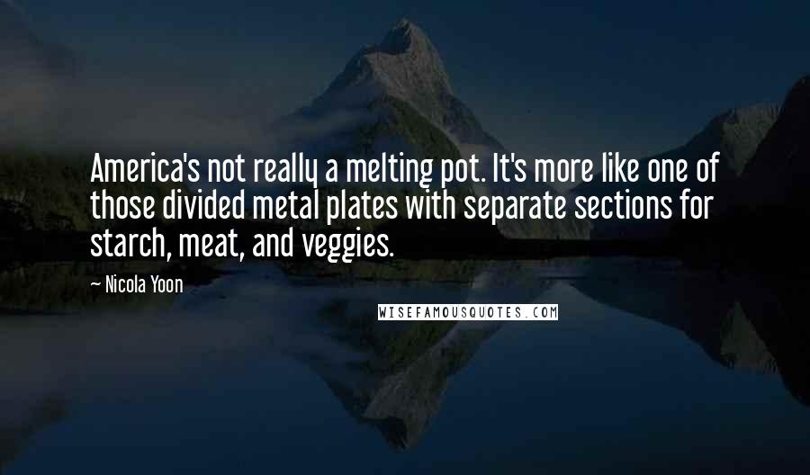 Nicola Yoon Quotes: America's not really a melting pot. It's more like one of those divided metal plates with separate sections for starch, meat, and veggies.
