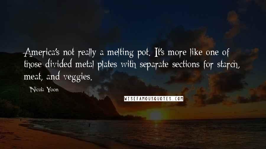 Nicola Yoon Quotes: America's not really a melting pot. It's more like one of those divided metal plates with separate sections for starch, meat, and veggies.