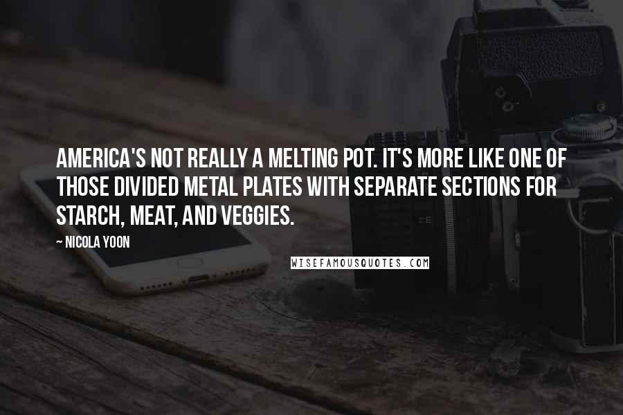 Nicola Yoon Quotes: America's not really a melting pot. It's more like one of those divided metal plates with separate sections for starch, meat, and veggies.