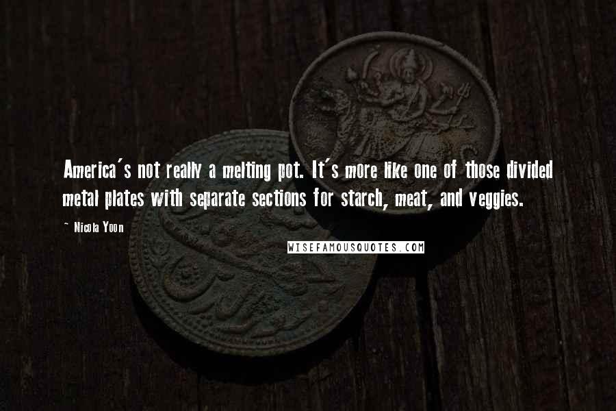 Nicola Yoon Quotes: America's not really a melting pot. It's more like one of those divided metal plates with separate sections for starch, meat, and veggies.