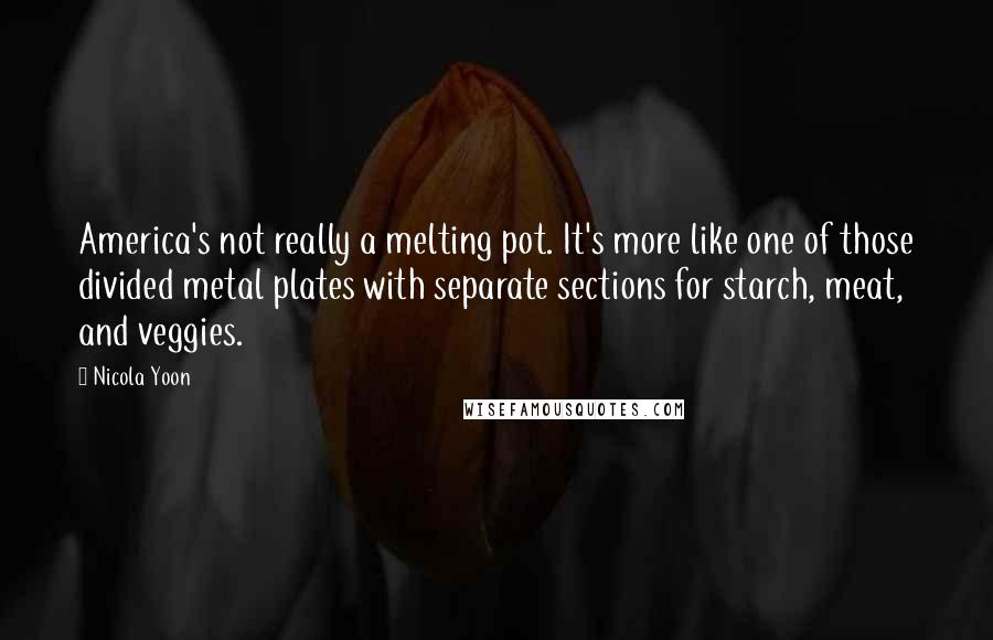 Nicola Yoon Quotes: America's not really a melting pot. It's more like one of those divided metal plates with separate sections for starch, meat, and veggies.
